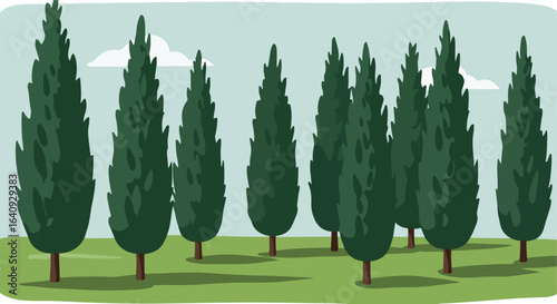 Towering green trees in a sparse grove, against a light, cloudy, blue sky