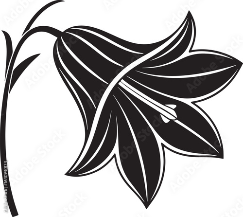 Elegant bellflower silhouette illustration