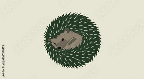 Curled hedgehog displaying cute face, surrounded by protective, dark green spines