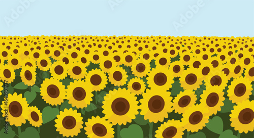 Vivid sunflowers stretch to horizon under bright blue sky, lush and flat scenery