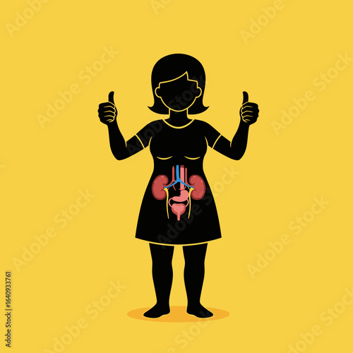 Understanding the human urinary system and its functions for overall health and wellness