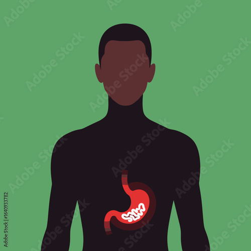 Understanding the human digestive system and its complex functions for optimal health and well-being