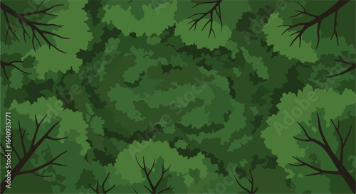 Dense green canopy seen from above with scattered dark tree branches visible