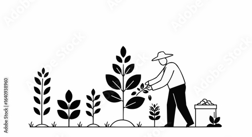 A farmer sowing seeds in a field of plants.