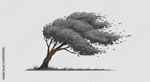 Leaning tree, bent from wind. Grass blowing. Gray sky. Bent branches. Harsh weather
