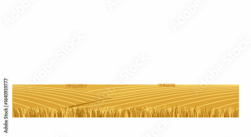A vast field of ripe wheat bathed in golden sunlight, ready for harvest.