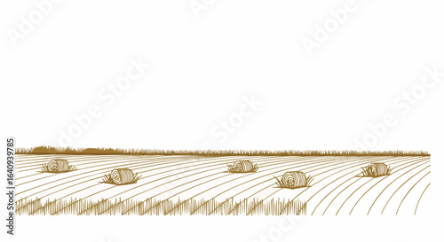 Rolling fields with hay bales under a vast sky