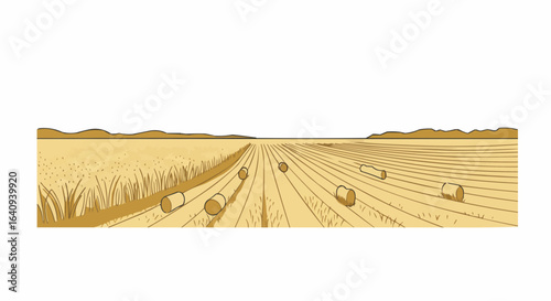 A serene illustration of a harvested wheat field under a clear sky. 