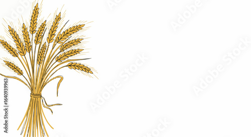 A sheaf of golden wheat tied with a brown rope.