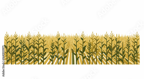A illustration of a bountiful field of corn ready for harvest.