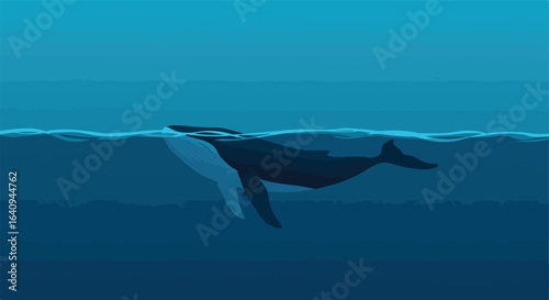 Humpback whale swims serenely in blue depths, light touches the surface