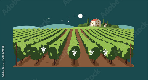 Vineyard view with crops, house on hill, birds, moon, and dark sky above