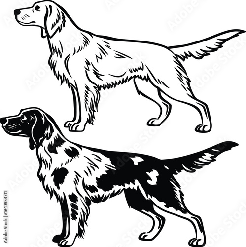 English Setter Dog Pair  Outline and Silhouette Companion Illustration