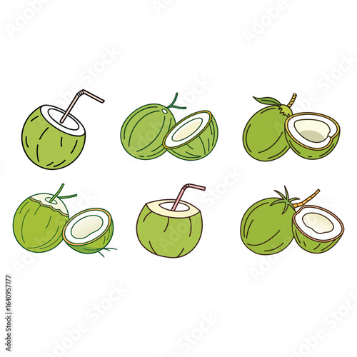 Various green coconuts whole and halved illustrations