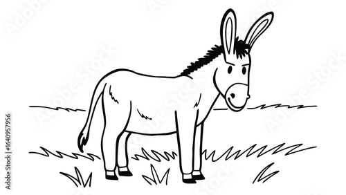  donkey standing in a field with grass and a simple horizon line in the background