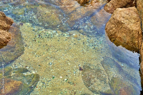Fototapeta Naklejka Na Ścianę i Meble -  The sandy bottom under the clear sea