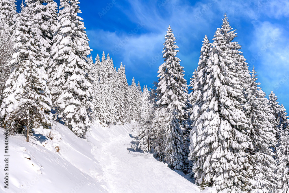 Fototapeta premium Panorama of ski resort Kopaonik, Serbia