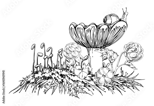 Russula cortinarius webcap mushroom with snail on cap, cloudberry berries on top of moss cushion spore stalks. Forest floor woodland ecosystem. Fungi natural illustration hand drawn in vector ink.