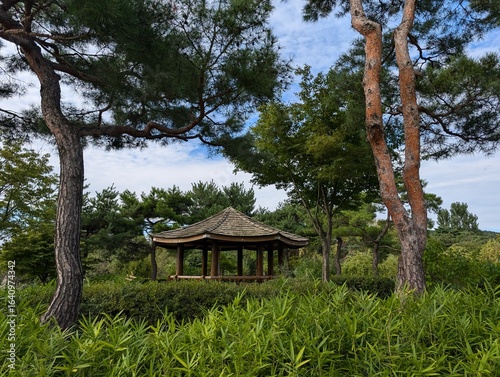 Gazebo in the park, South Korea
