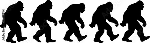 Primate Evolution Silhouette Sequence Illustration"