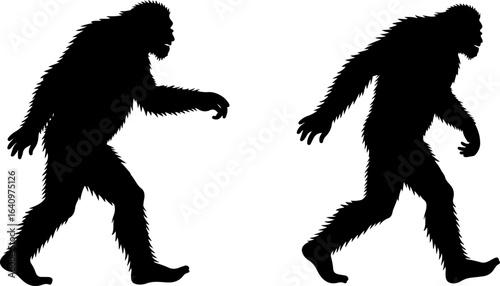 Primate Evolution Silhouette Sequence Illustration"