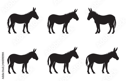 Six black donkey silhouettes on white background animal
