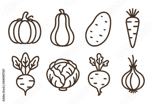 Brown outline vegetables: pumpkin, squash, potato, carrot, beet, cabbage, turnip, onion