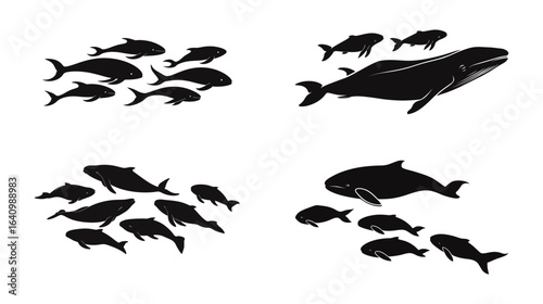 A serene silhouette of a beluga whale swimming gracefully in calm waters, highlighting its smooth body and gentle movements, symbolizing marine life, tranquility, ocean wildlife, and peaceful nature 