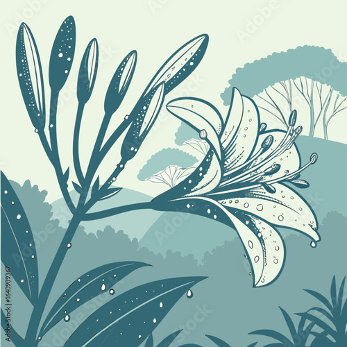 Minimilist elegant illustration of a lily flower with buds and leaves against a nature background scene in teal color vector