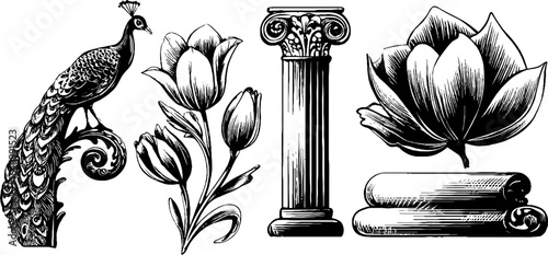Art nouveau peacock and floral motifs engraving set for decorative design, print, card, poster