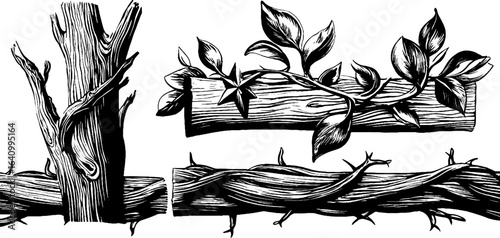 Ornate elven borders and twine design for artistic decoration and crafting