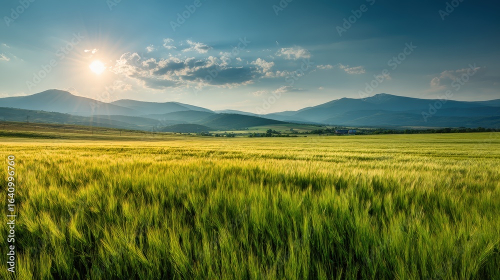 Fototapeta premium Lush Green Field Under a Bright Sky with Distant Mountain Range at Sunset