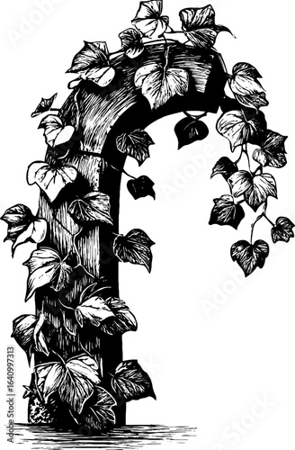 Hand drawn gothic arch with leafy vines engraving for retro design projects