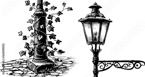 Vintage engraved illustration of iron street lamp with ivy for retro design projects