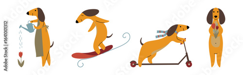 Funny Dachshund Dog Character Engaged in Different Activity Vector Set