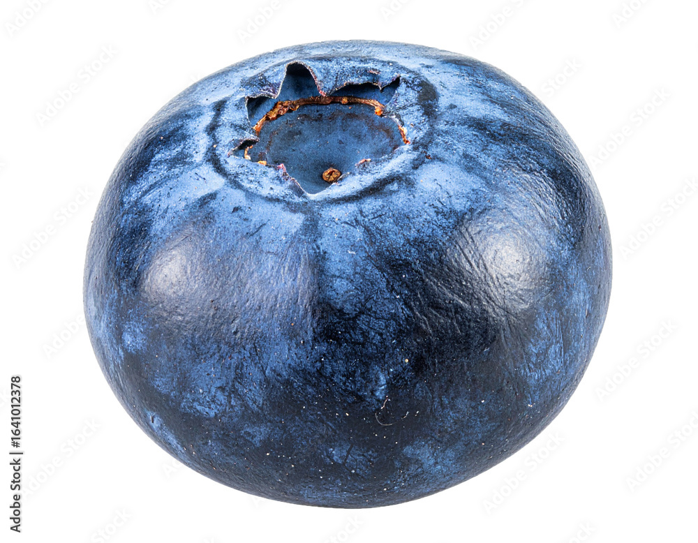 Fresh Ripe Blueberry Isolated on Transparent Background Fresh Ripe Blueberry Isolated on Transparent Background