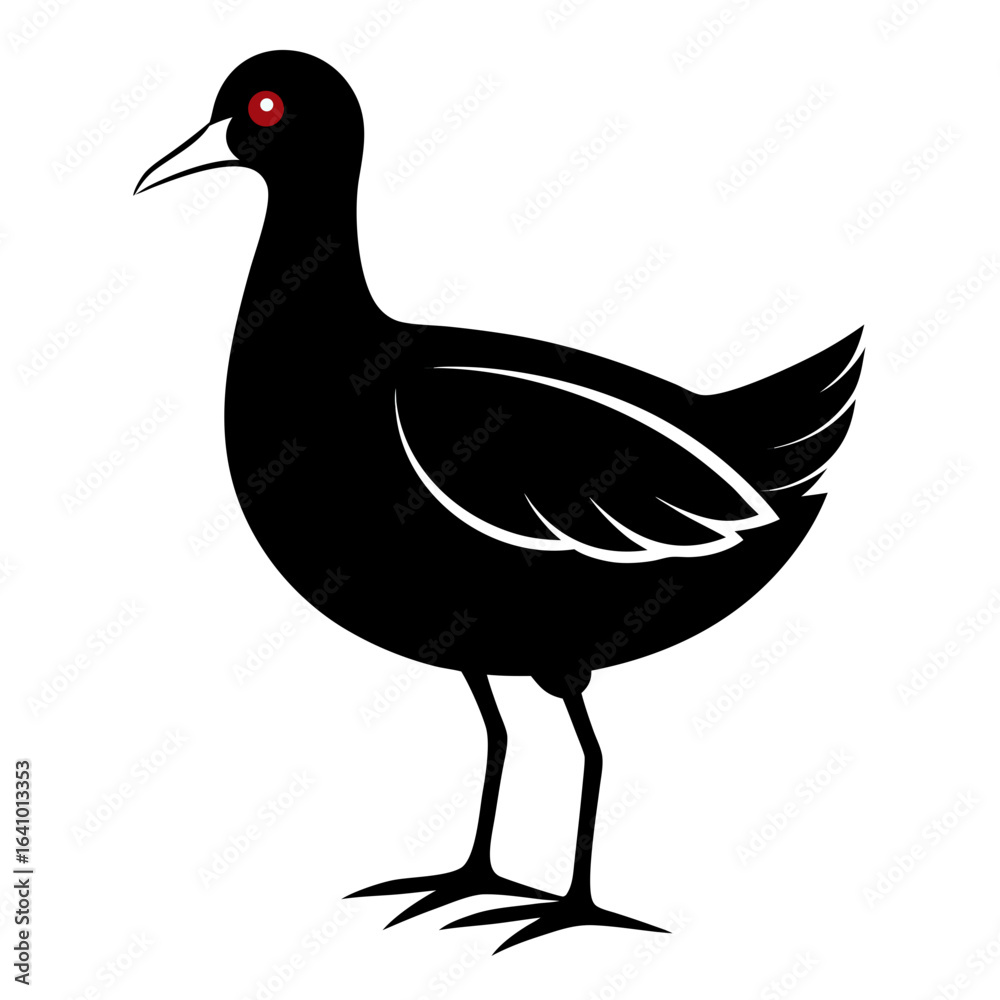 Fototapeta premium Moorhen vector clean black silhouette design white background