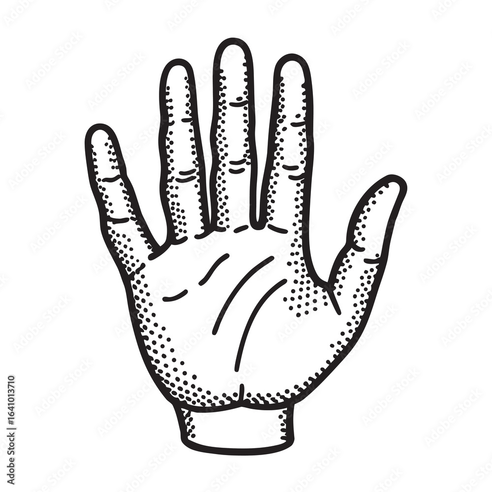 Obraz premium hand vector