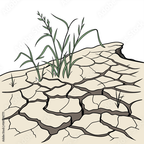 Drought Resilience: Illustrative depiction of parched earth, where resilient flora defiantly thrives, symbolizing survival against aridity.