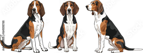American Foxhound Dog sitting vector illustration