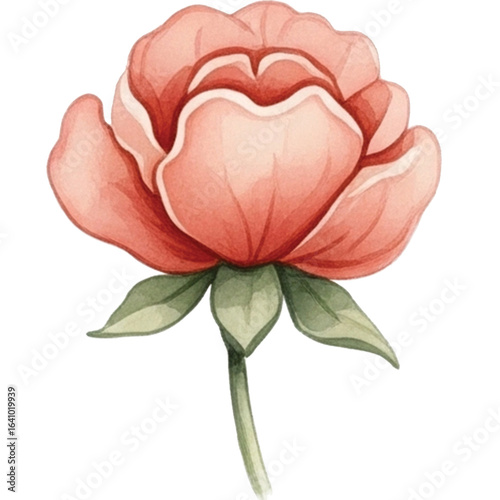 Watercolor illustration of pink rose with green leaves, showcasing delicate petals and soft, romantic feel