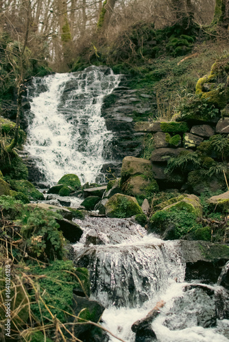 Eau de montagne ruisselante 