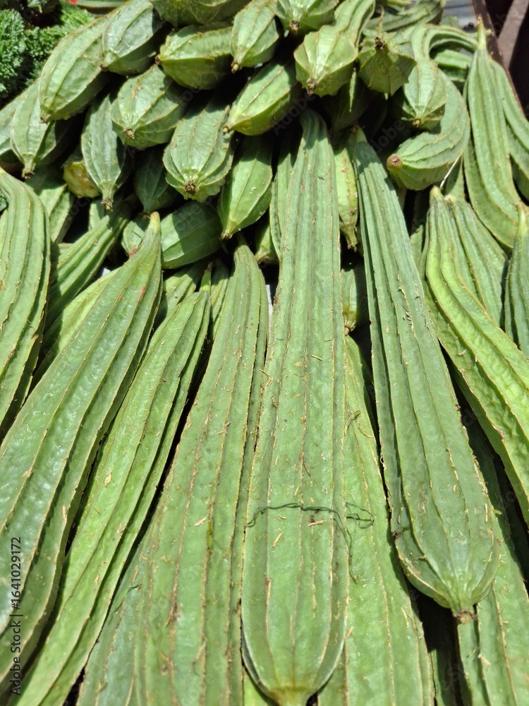 Obraz premium Stack of fresh green ridge gourds with ridged texture on display at a local market. A healthy, organic vegetable ideal for themes of farm produce, traditional cooking, and natural food