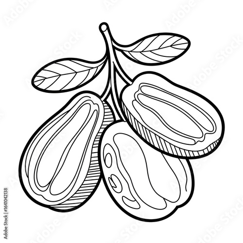 A black and white dates illustration line art of a coloring page