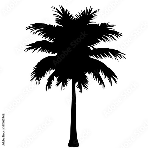 silhouette of palm trees