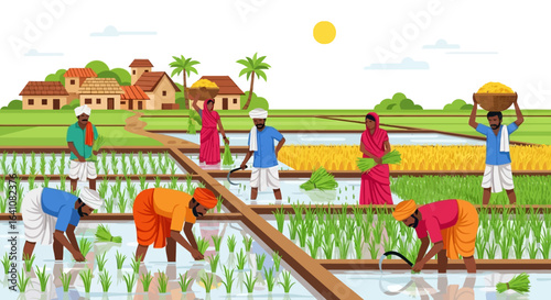 Farmers Cultivating Rice in a Lush Green Paddy Field Under the Sun