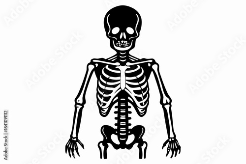 human skull with skeleton
