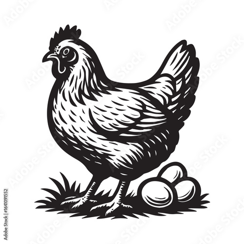 Chicken Hen Eggs Farm Poultry Illustration