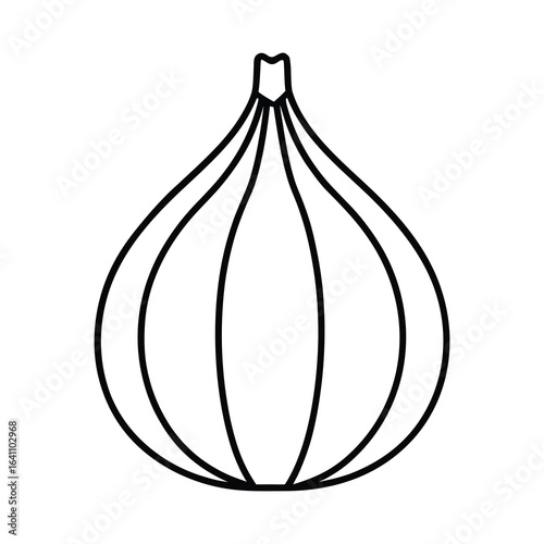 utline garlic bulb with cloves on a white background