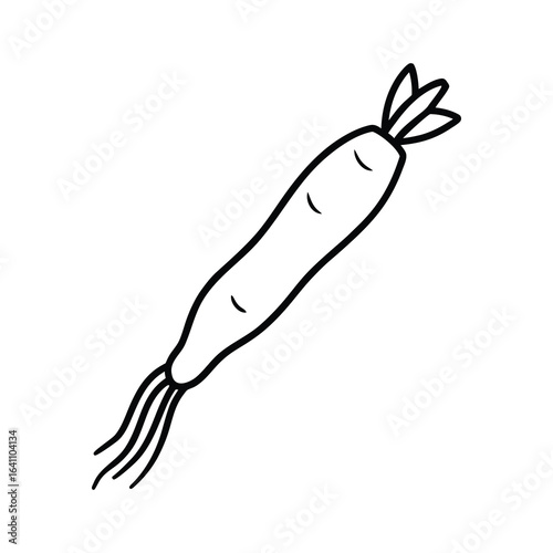  outline horseradish root on a white background
